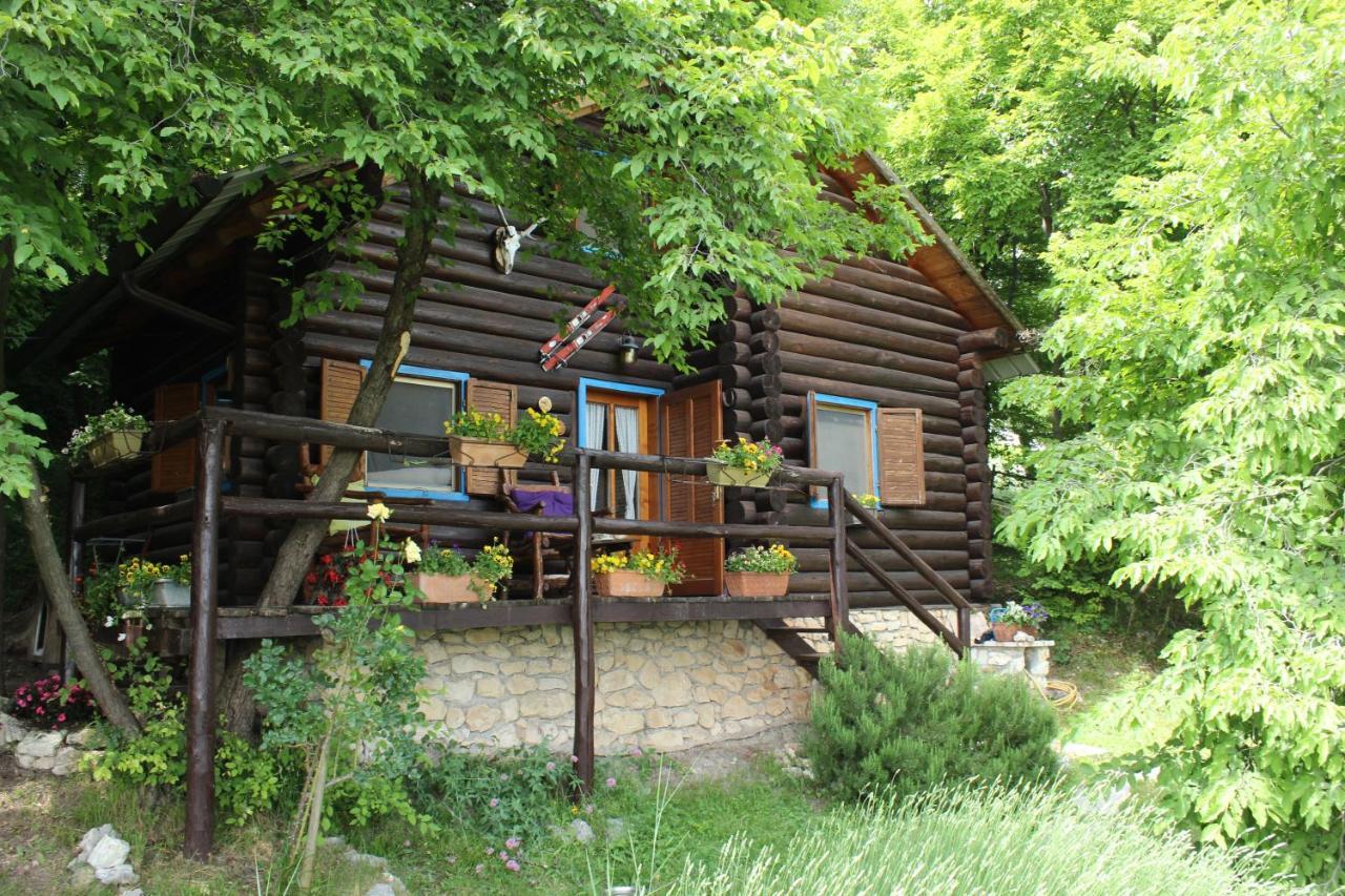 Le Corone - Nel Bosco Appartement *